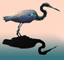 Two Blue Herons logo
